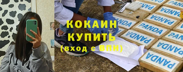 дживик Абаза