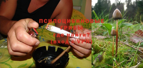 крисы Каменск-Шахтинский