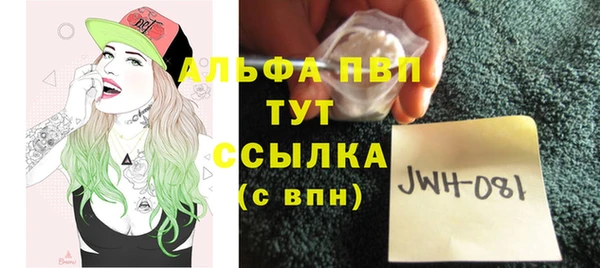 дживик Абаза